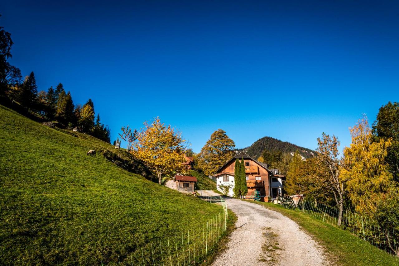 Stallhaeusl Schladming Exterior photo